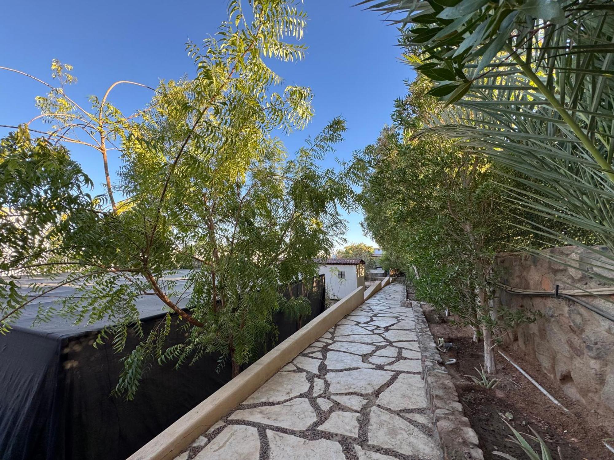 The Wind Farm Villa Dahab Ngoại thất bức ảnh