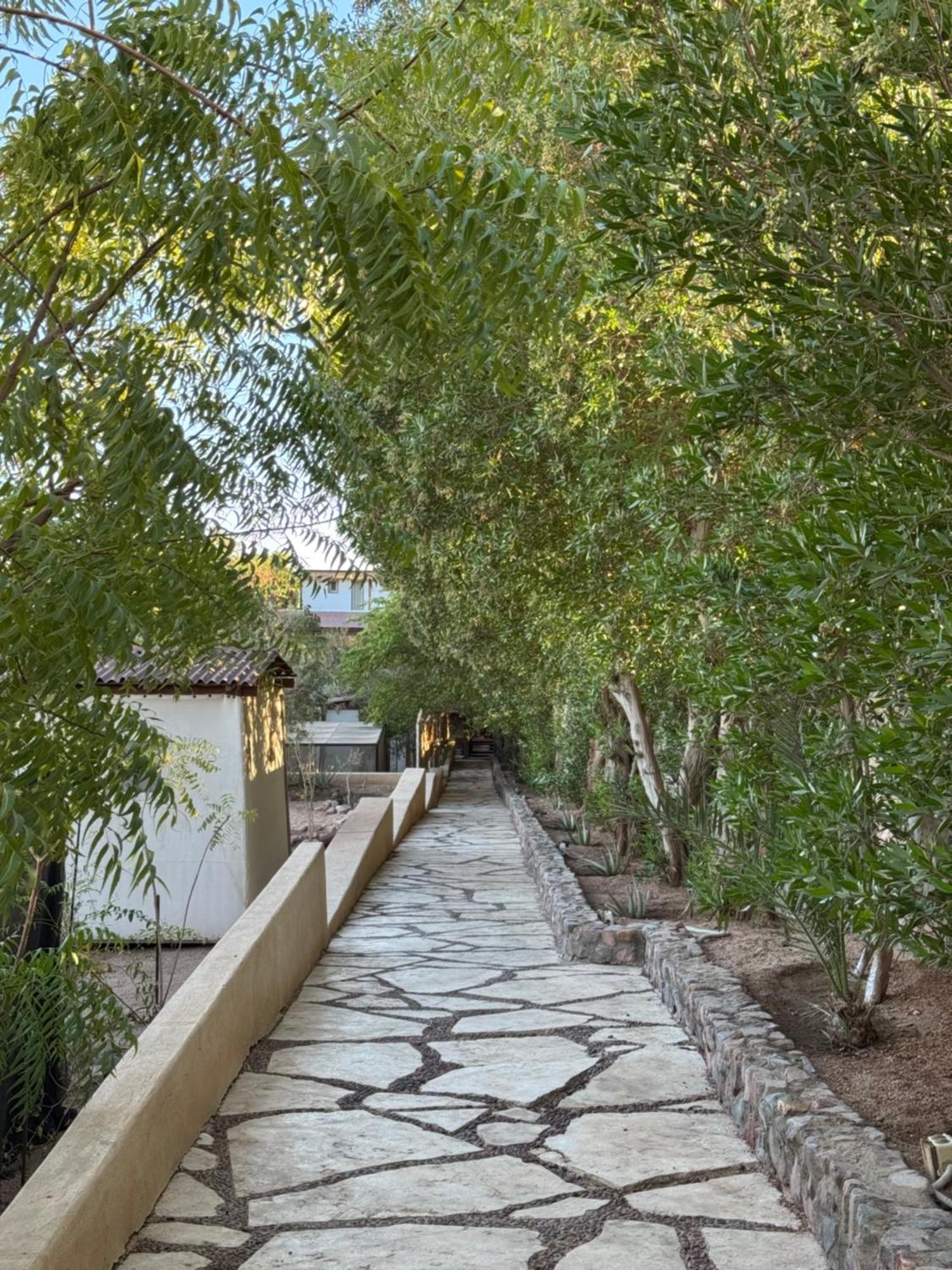 The Wind Farm Villa Dahab Ngoại thất bức ảnh